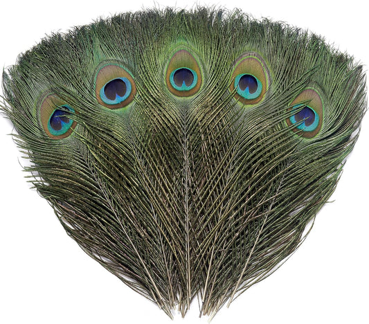 12 PCS Real Natural Peacock Eye Feathers 10-12 inch for DIY Craft, Wedding and Holiday Decorations